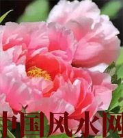 锦州预示你财运上升，姻缘可成的梦境，快来看看吧！